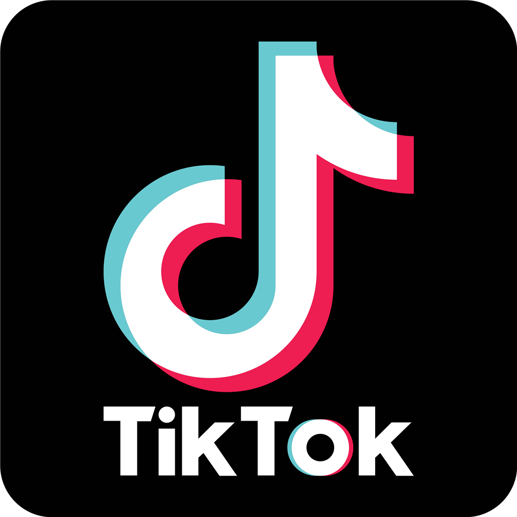 TikTok logotype, transparent .png, medium, large