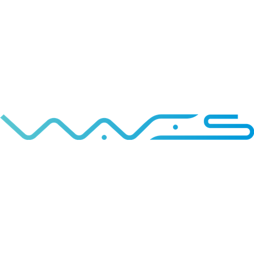 Waves coin logo