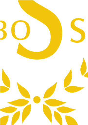 Air Boss Hotel logo