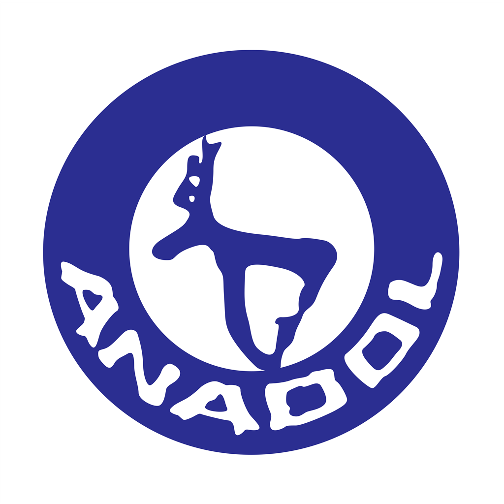 Anadol logotype, transparent .png, medium, large