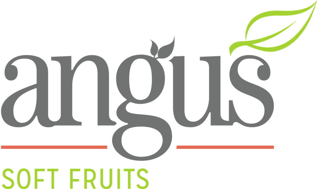 Angus Soft Fruits logotype, transparent .png, medium, large