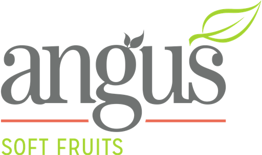 Angus Soft Fruits logo