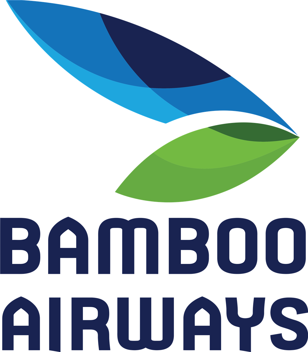 Bamboo Airways logotype, transparent .png, medium, large