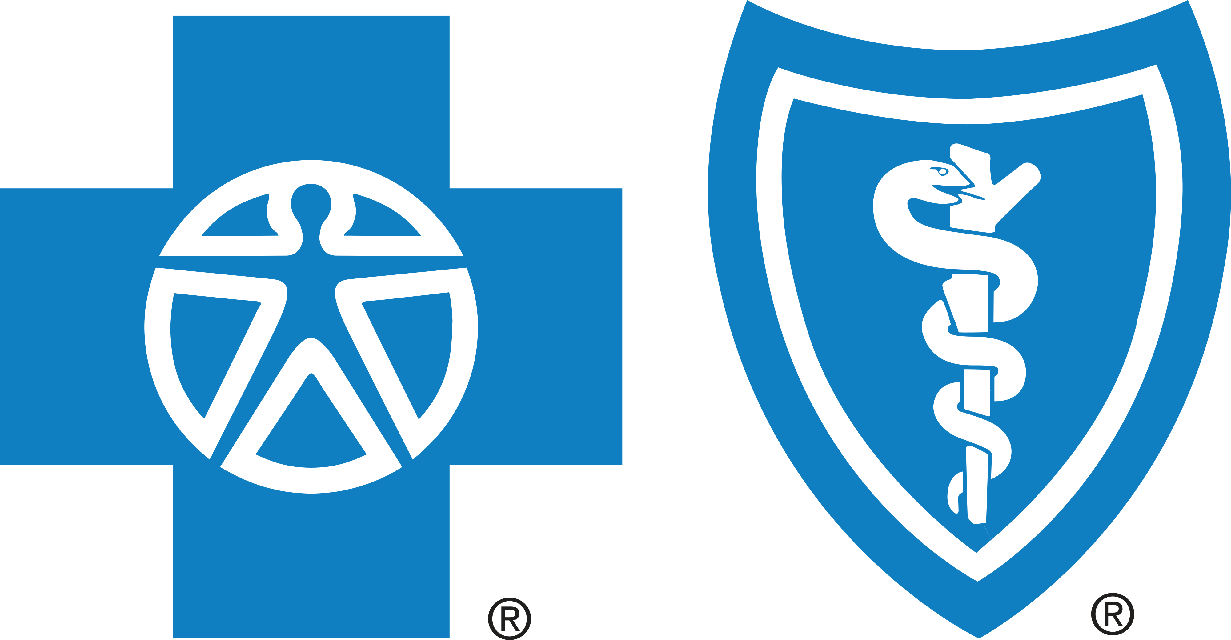 Blue Cross Blue Shield logo download.