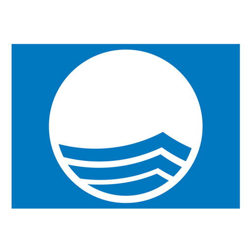 Blue Flag logo