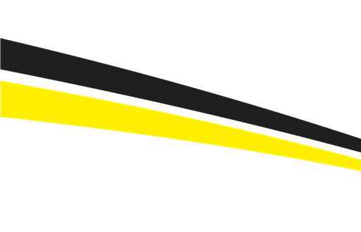 Brawn GP logo
