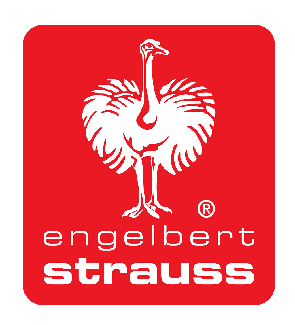 Engelbert Strauss logotype, transparent .png, medium, large