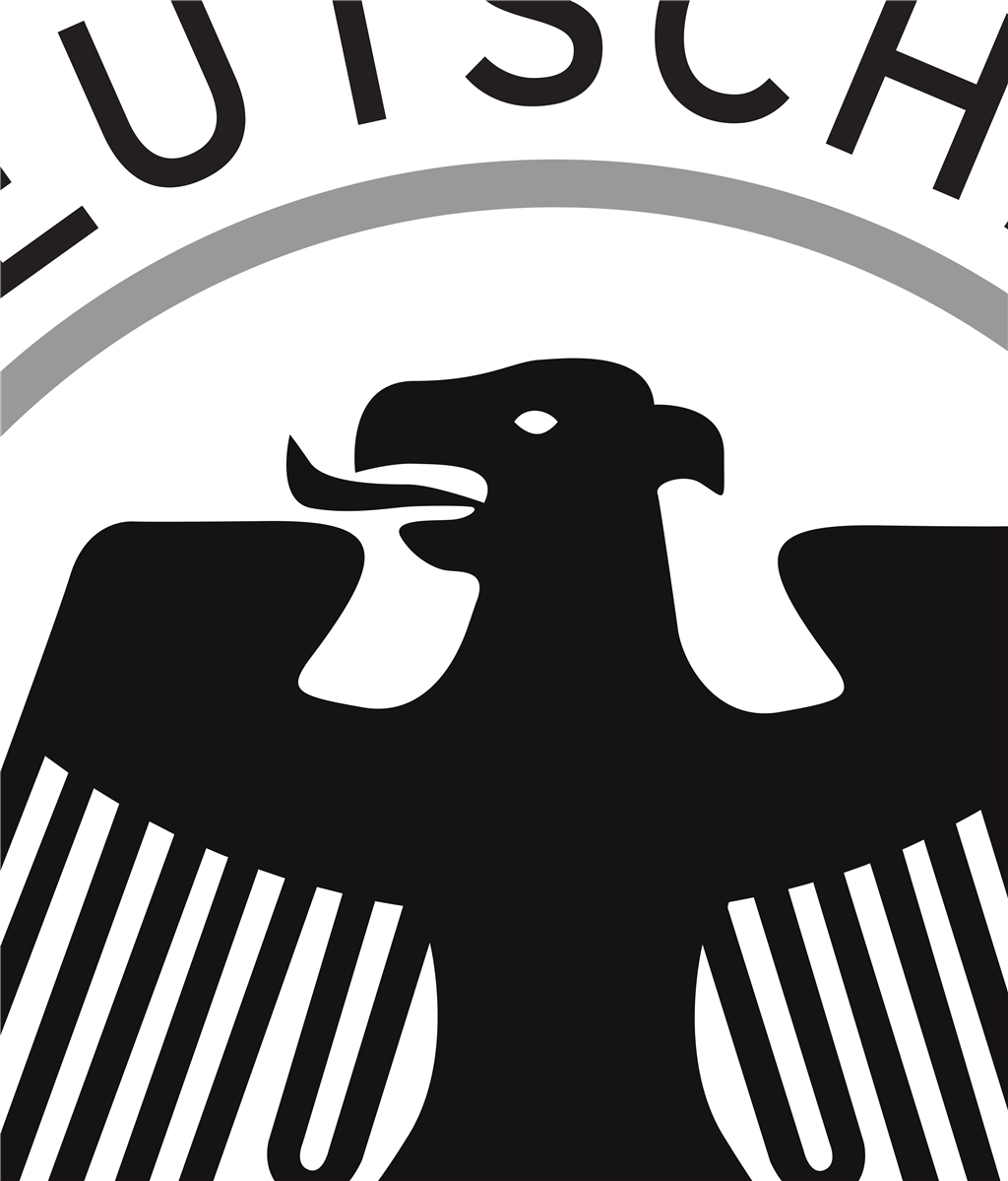 Germany national football team logotype, transparent .png, medium, large