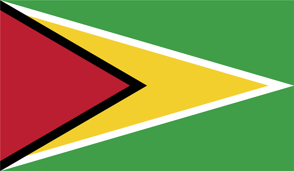 Guyana logotype, transparent .png, medium, large