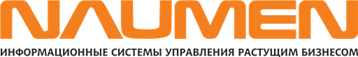 Naumen logo