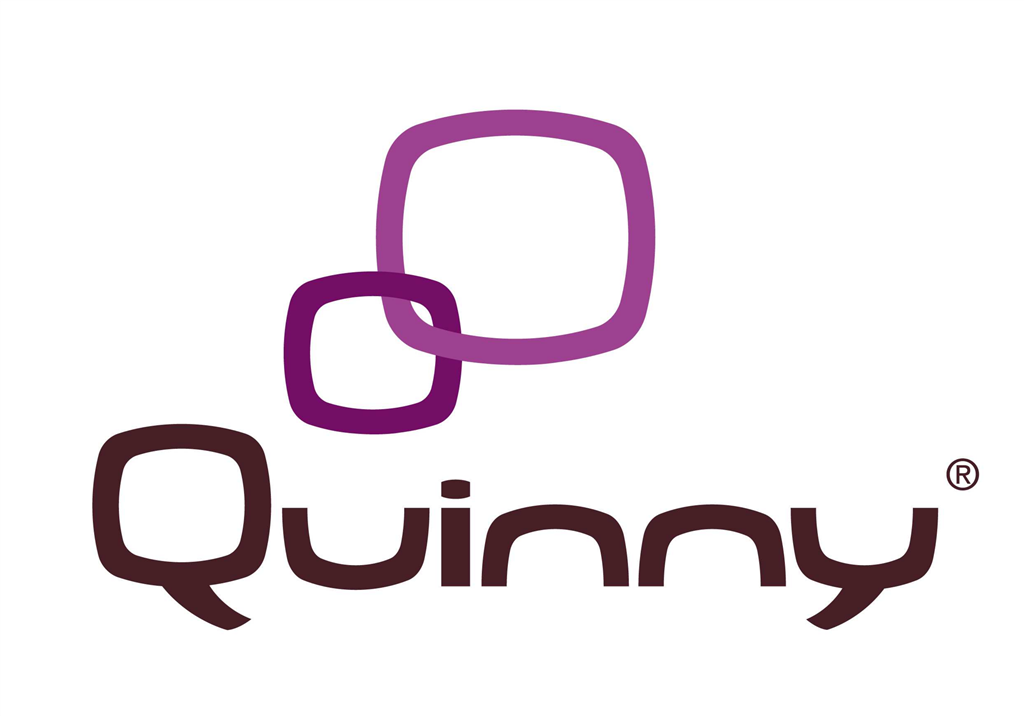 Quinny logotype, transparent .png, medium, large