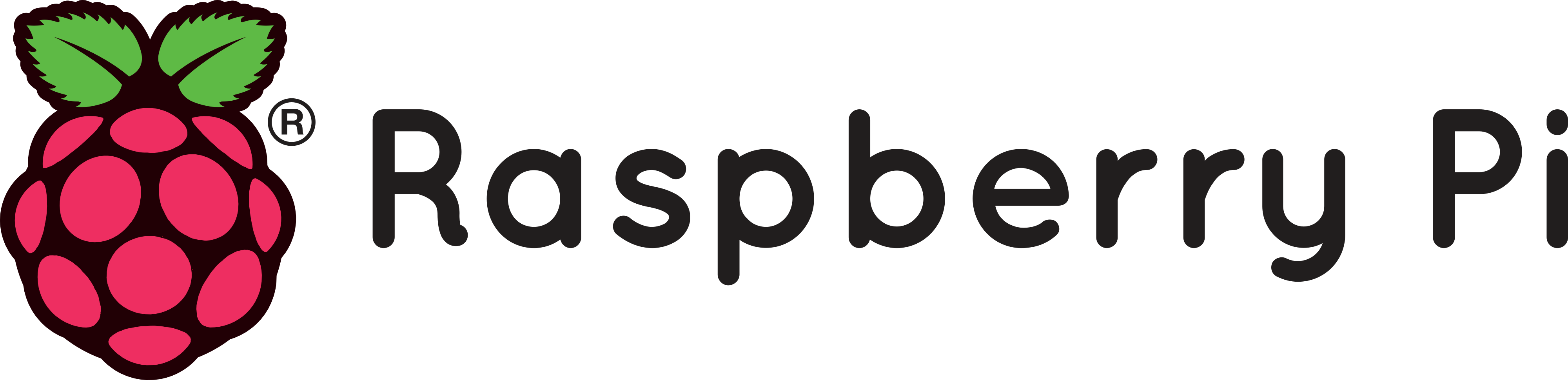 Raspberry Pi Logo Download