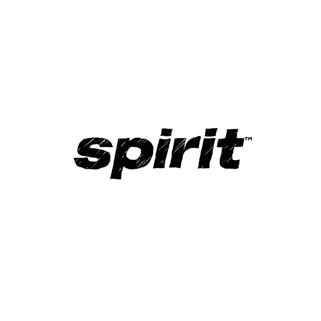 Spirit Airlines logotype, transparent .png, medium, large