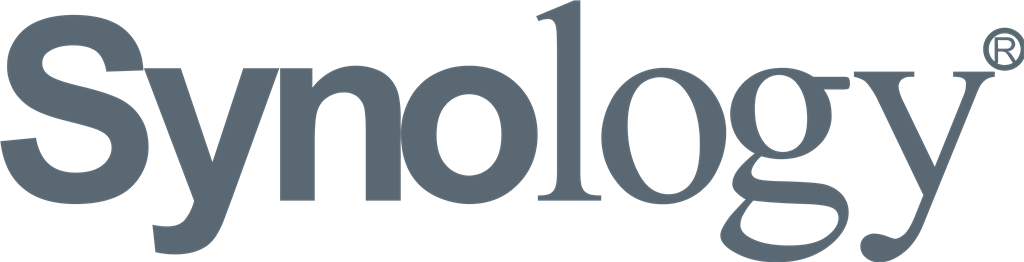 Synology logotype, transparent .png, medium, large