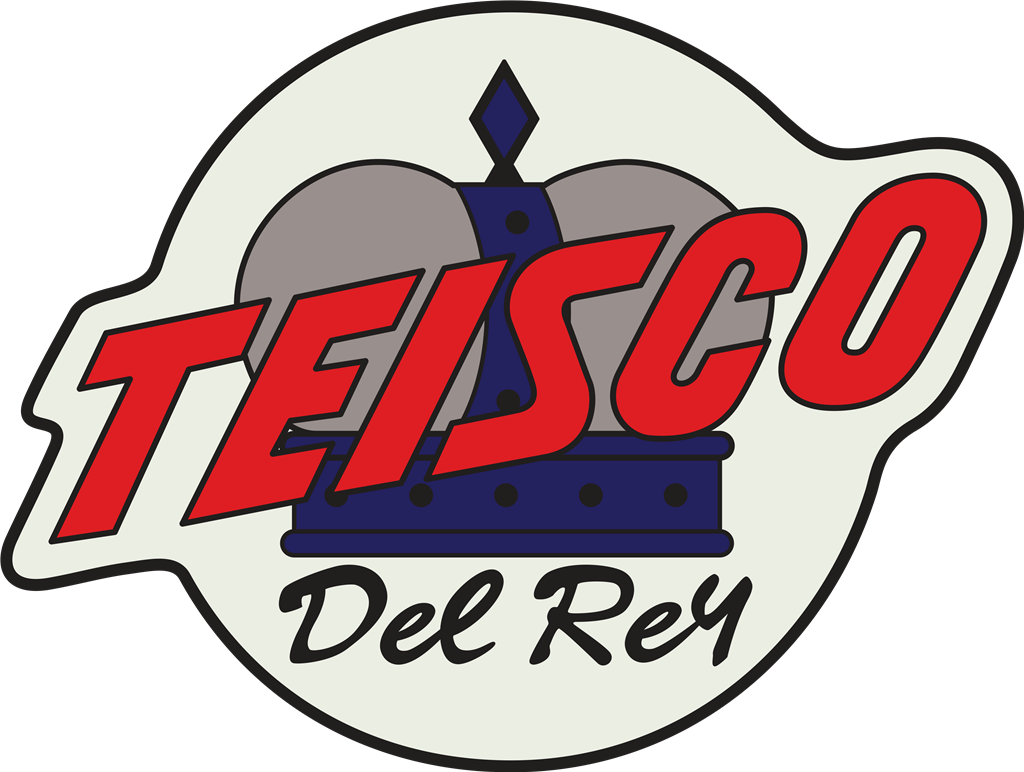 Teisco logotype, transparent .png, medium, large