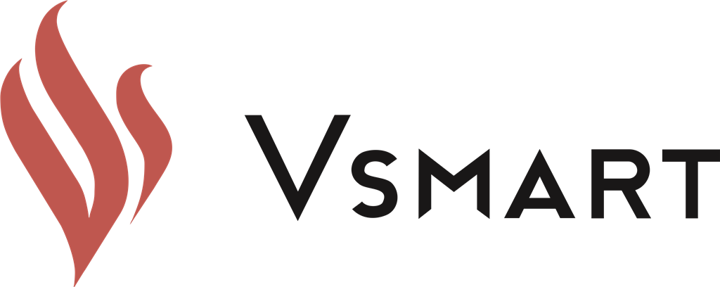 Vsmart logotype, transparent .png, medium, large