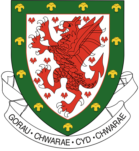 Welsh national football team logo